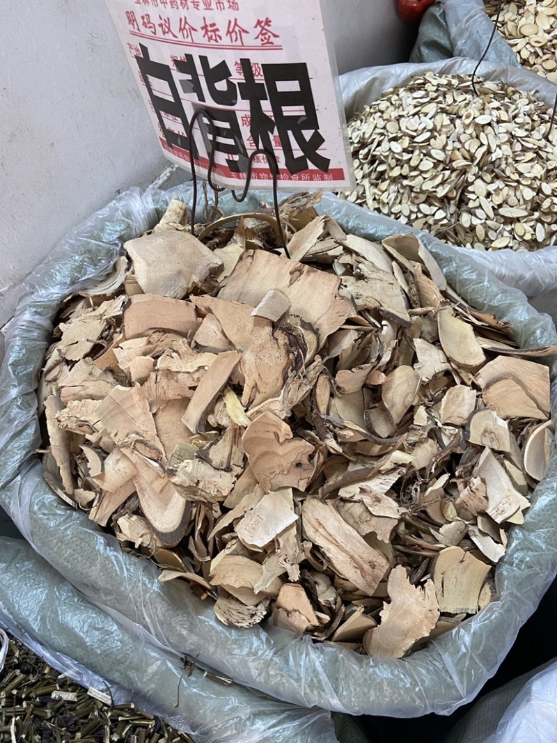 野生白背叶根无硫白背根,白膜根白朴根野桐根中药材