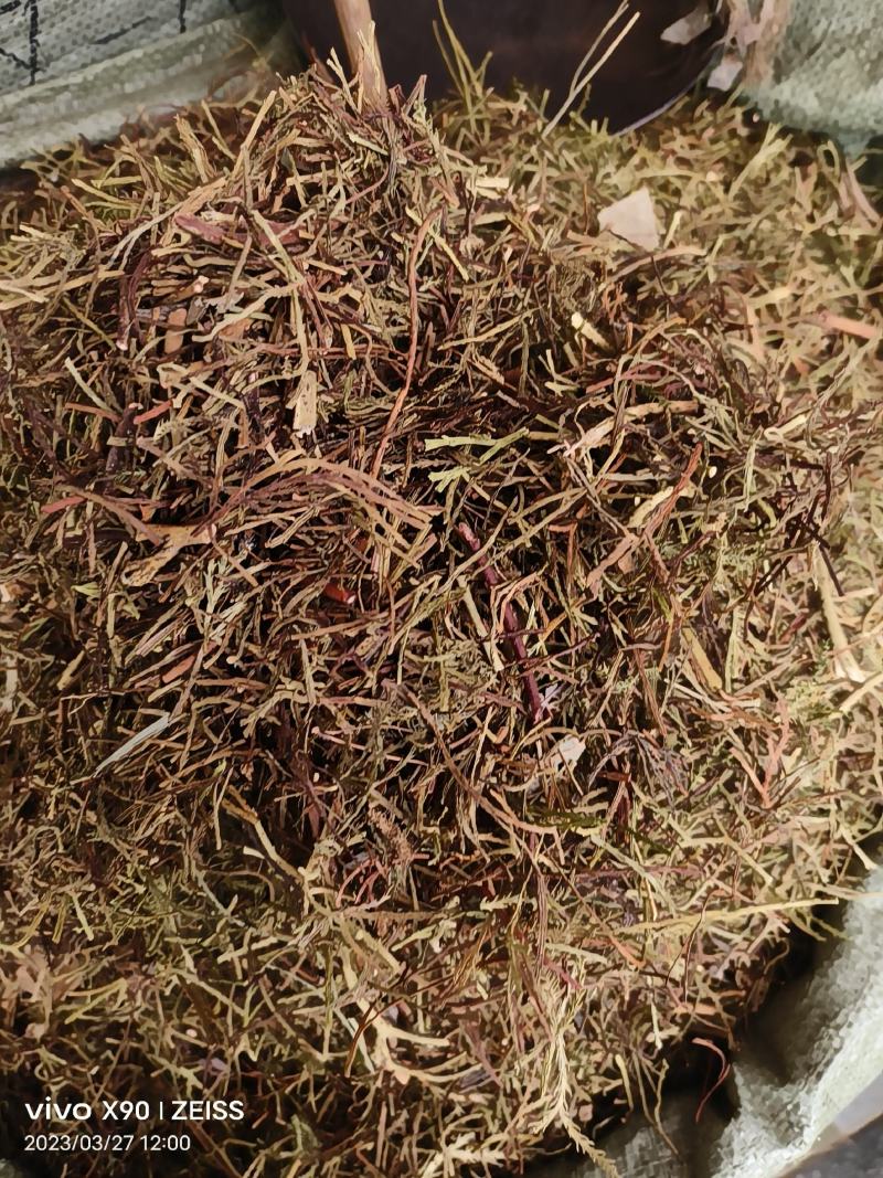 中药材马尾伸筋草新货干度好批发零售货源充足
