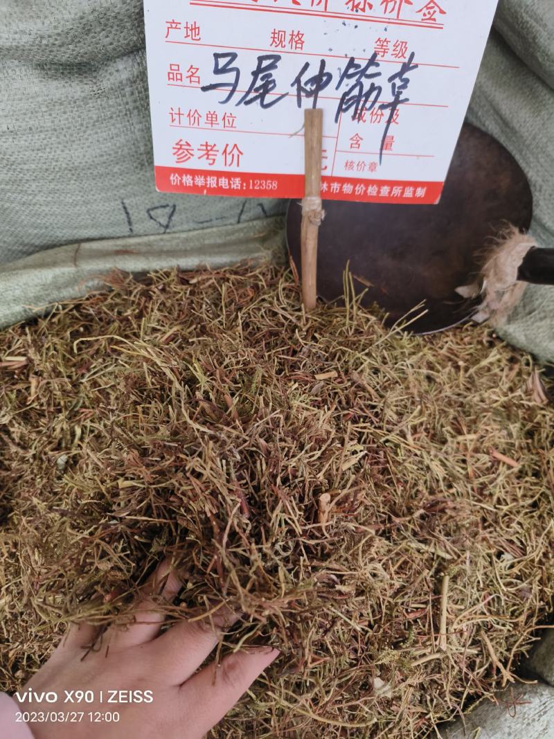 中药材马尾伸筋草新货干度好批发零售货源充足