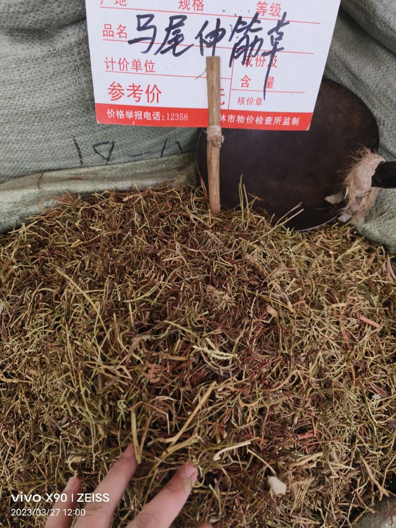 中药材马尾伸筋草新货干度好批发零售货源充足
