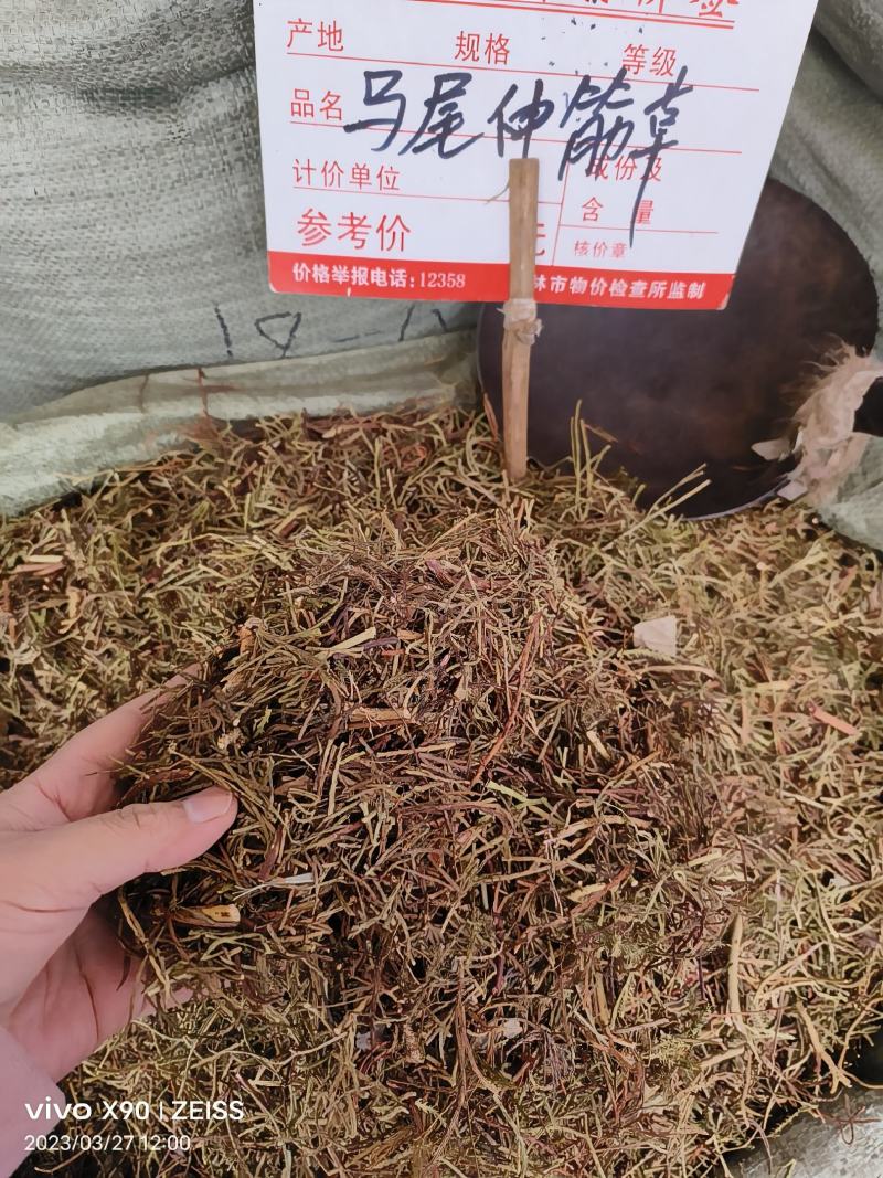 中药材马尾伸筋草新货干度好批发零售货源充足