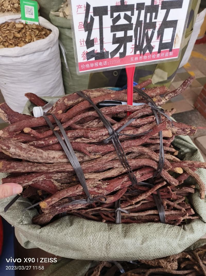 中药材红穿破石新货货源充足批发零售
