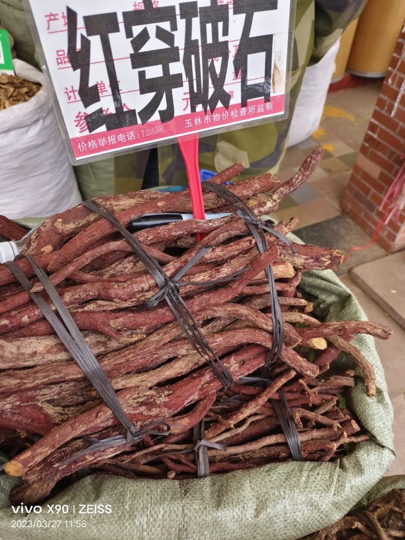 中药材红穿破石新货货源充足批发零售