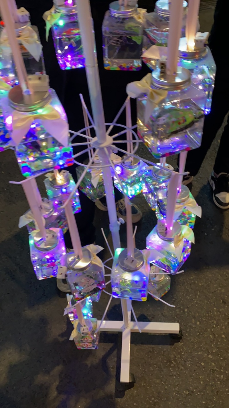 七彩罐罐鱼