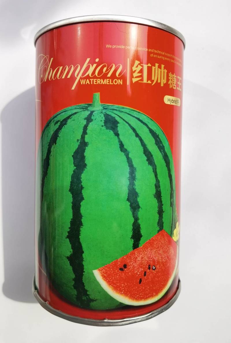 超甜地雷王西瓜种子抗重茬超大特大圆瓜大红瓤耐裂麒麟西瓜种
