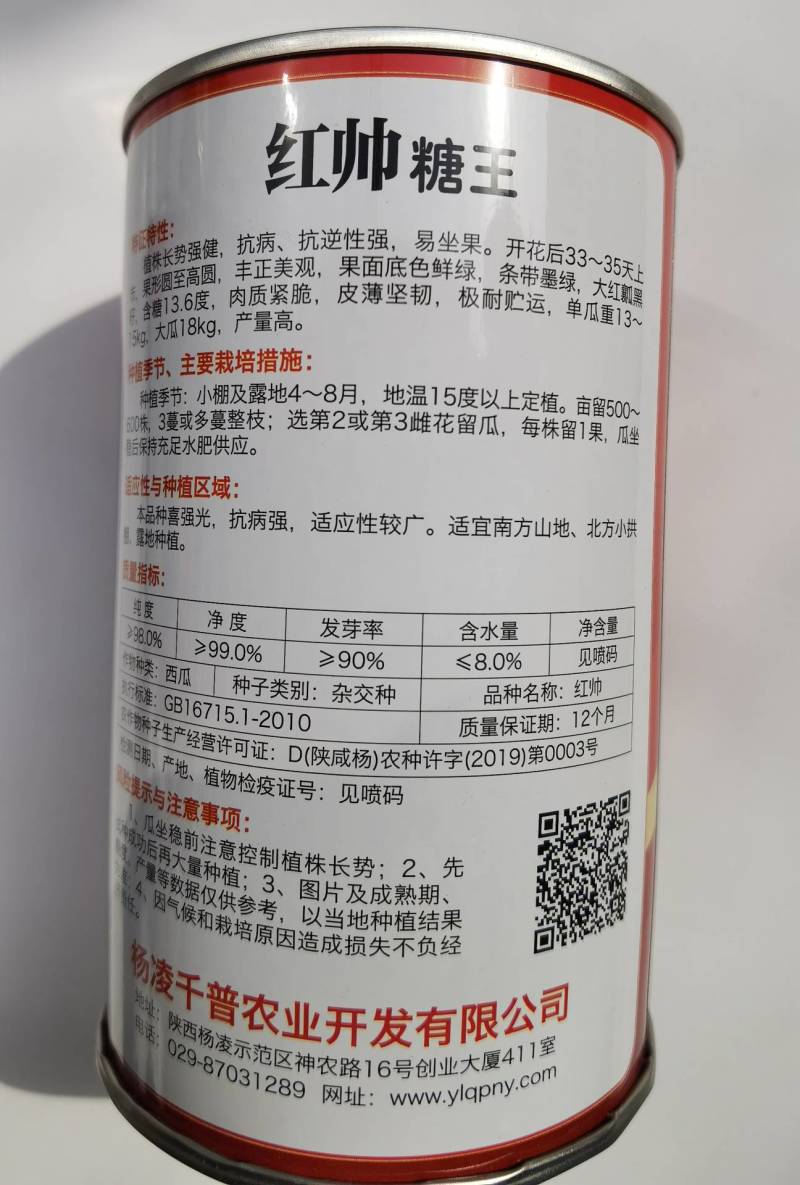 超甜地雷王西瓜种子抗重茬超大特大圆瓜大红瓤耐裂麒麟西瓜种