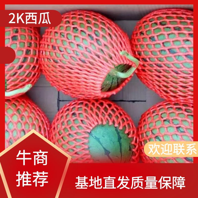 潍坊2K西瓜万亩基地产地直供大量供应一手货源价格实惠