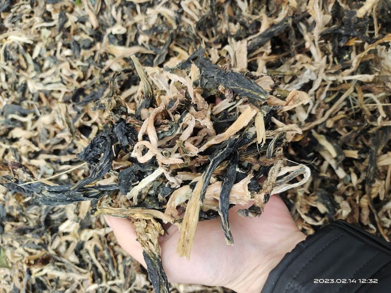 白菜干脱水白菜农家自然晒干无盐无添加食品