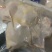 河南安阳滑县真空包装精品老母鸡白条鸡大量上市