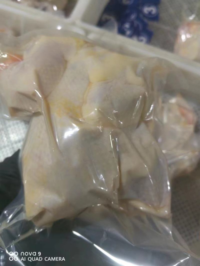 河南安阳滑县真空包装精品老母鸡白条鸡大量上市
