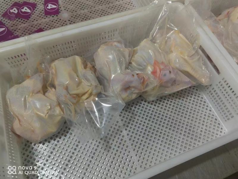 河南安阳滑县真空包装精品老母鸡白条鸡大量上市