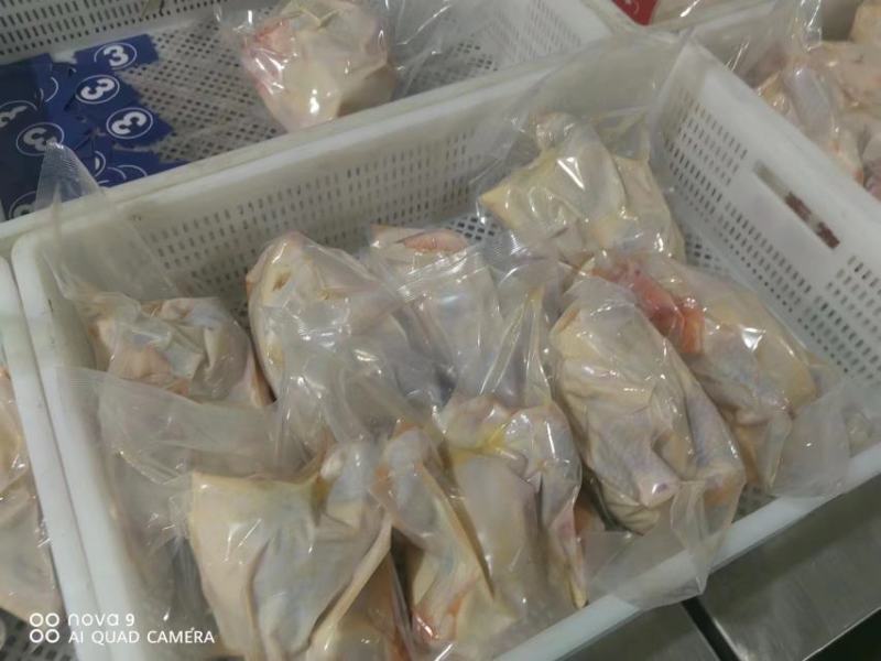 河南安阳滑县真空包装精品老母鸡白条鸡大量上市