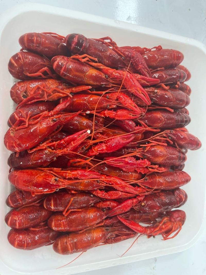 清水冻虾，小龙虾，清水小龙虾，液氮清水冻虾，肉质Q弹