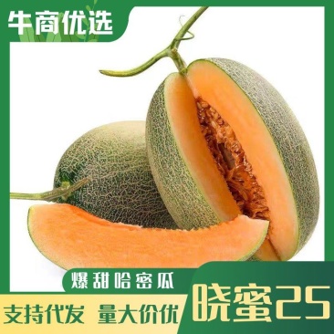 海南晓蜜25哈密瓜，对接电商社区团购，网纹海沙地晓蜜