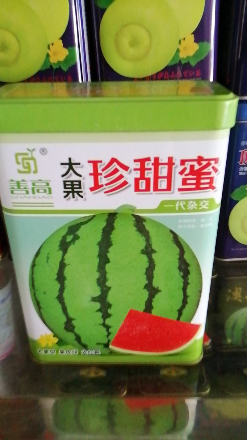 大果珍甜蜜西瓜，一代杂交，大果型果皮绿大红瓤肉质紧密甜脆
