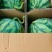 东台市8424西瓜精品大红瓤黑籽，糖度高品质保障欢迎下单