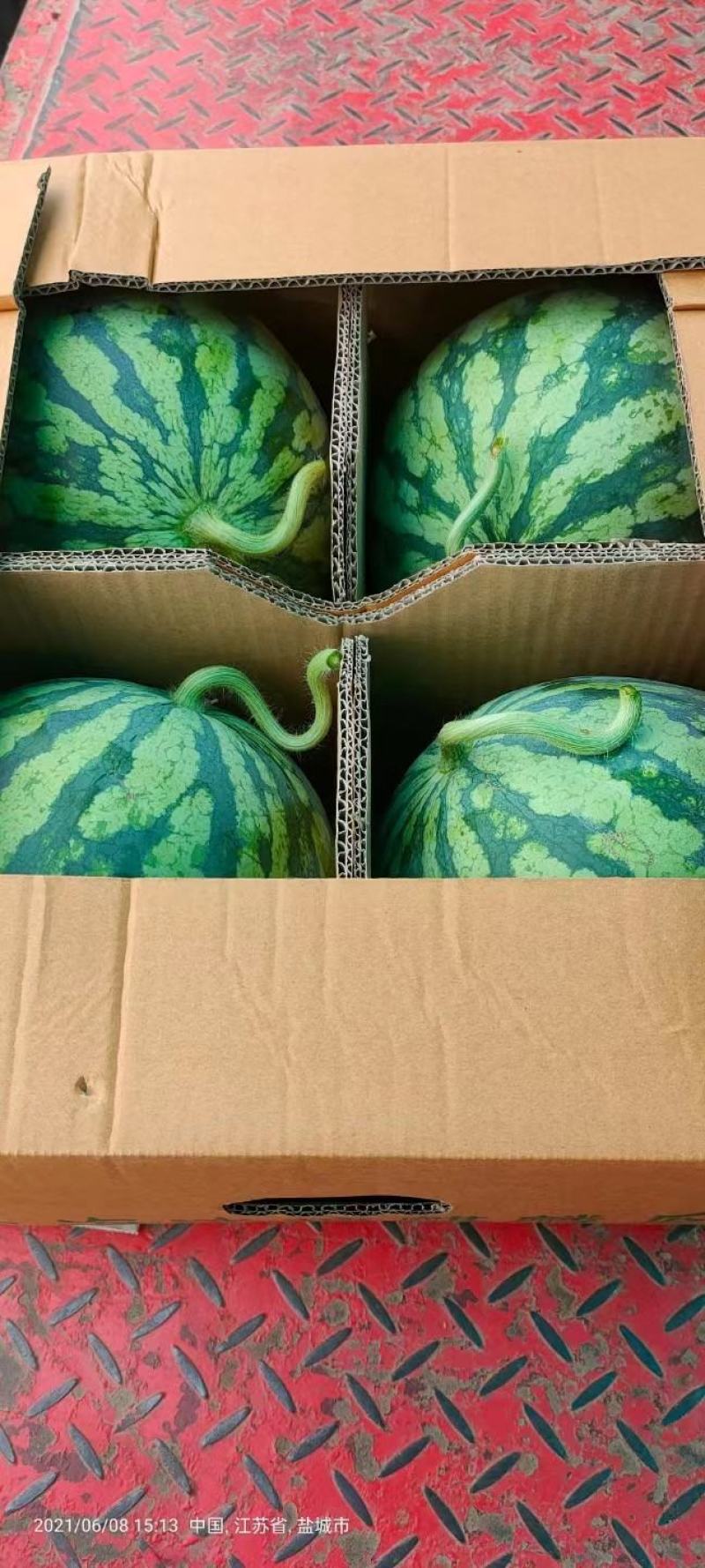 东台市8424西瓜精品大红瓤黑籽，糖度高品质保障欢迎下单
