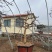 【热卖】山东枣庄石榴树盆栽，石榴树园林景观造型苗圃直发