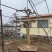 【热卖】山东枣庄石榴树盆栽，石榴树园林景观造型苗圃直发