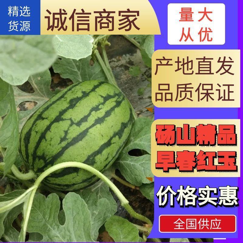 砀山县早春红玉已大量上市，皮溥，黑籽，八成半熟，货源充足