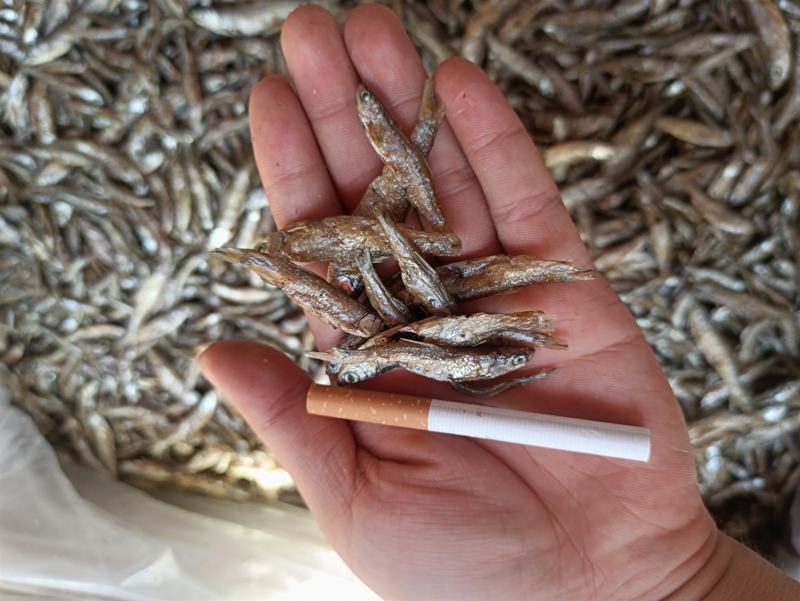 油炸小白条鱼