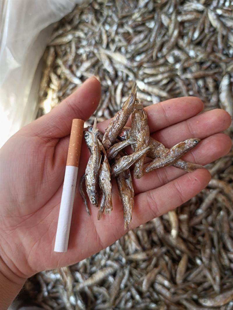油炸小白条鱼