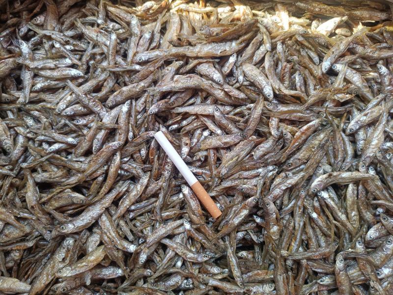 油炸小白条鱼