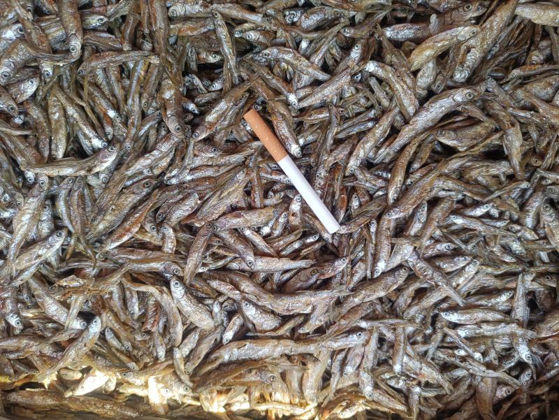 油炸小白条鱼