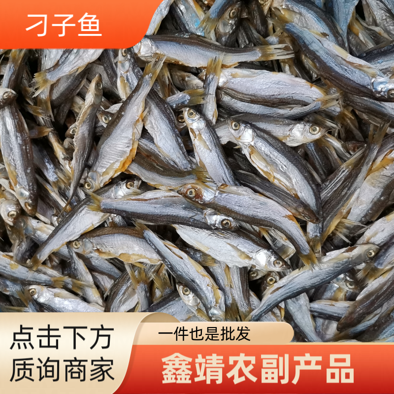 刁子鱼兰刀鱼小白刁，量大从优，欢迎老板咨询