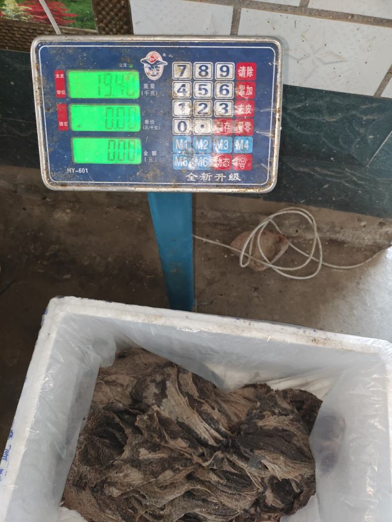 掉毛百叶毛肚大掉毛小掉毛各有价格，欢迎咨询