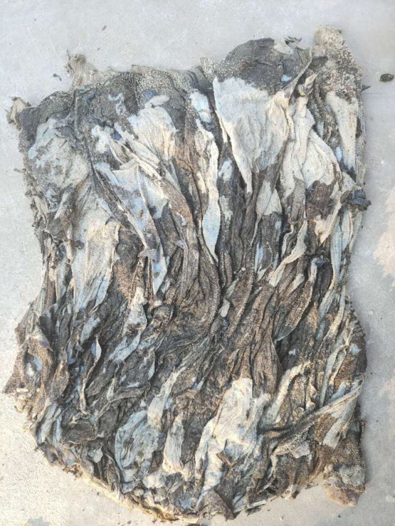 掉毛百叶毛肚大掉毛小掉毛各有价格，欢迎咨询