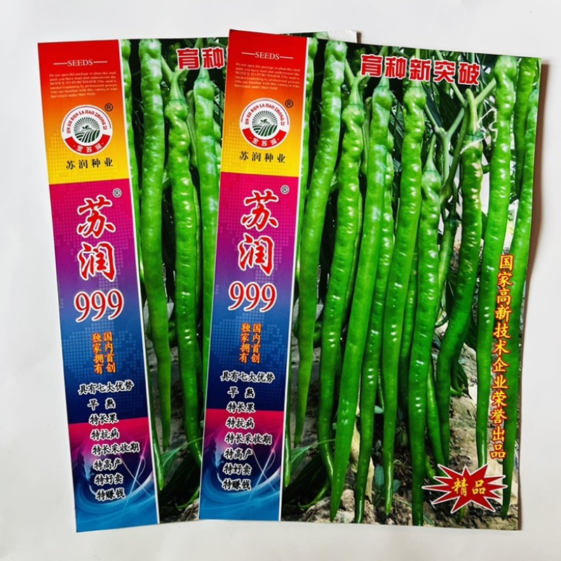 苏润888，998线椒种子青皮软皮线椒品种早熟