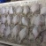 鲜活速冻白鲳鱼