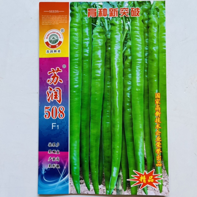 苏润509线椒种子早熟杂交品种种子青皮线椒品种种子