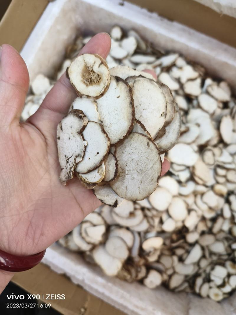 中药材七叶一枝花重楼蚤休新货货源充足批发零售