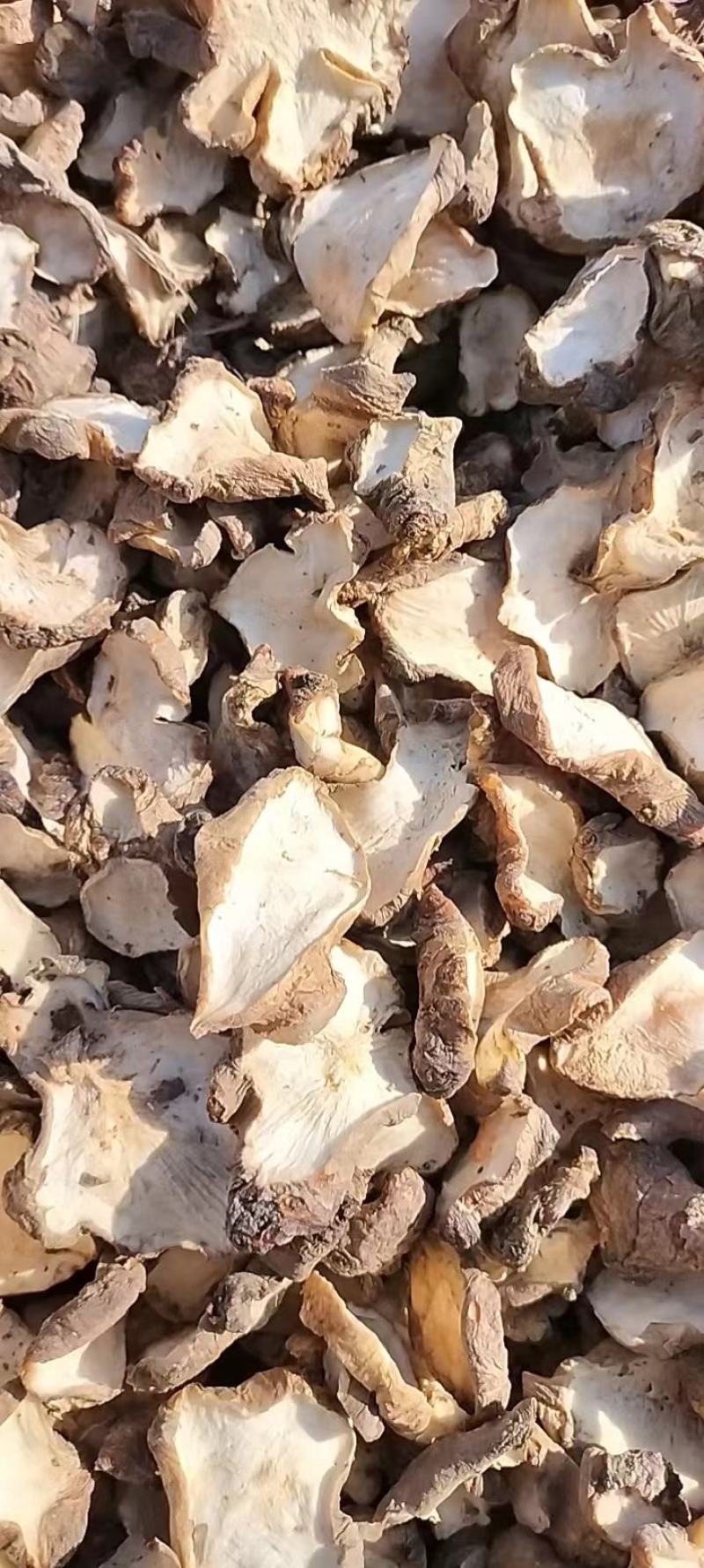 【推荐】洋姜片，鬼子姜，菊芋干，一手货源，厂家直发
