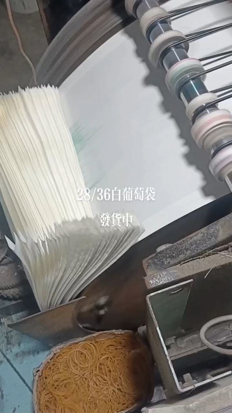 葡萄专用套袋