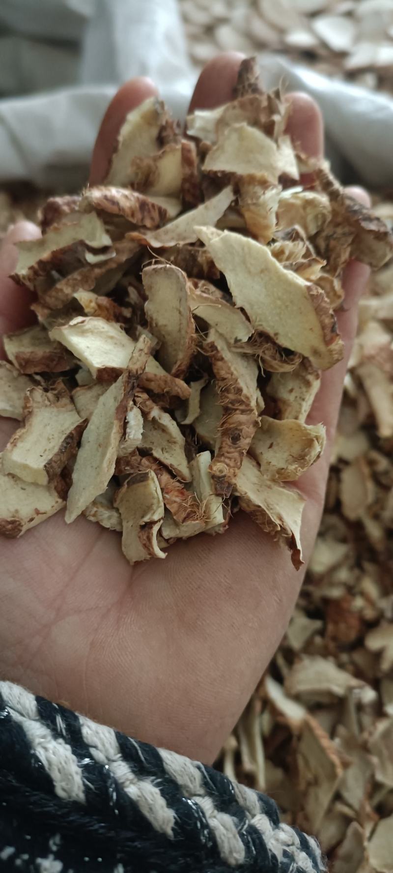 知母，新货无杂质无硫，质量保正，大量供应，全国发货，