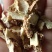 知母，新货无杂质无硫，质量保正，大量供应，全国发货，