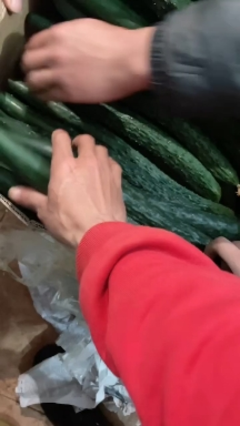 《产地严选》黄瓜，诚信经营，一手货源，产地直发