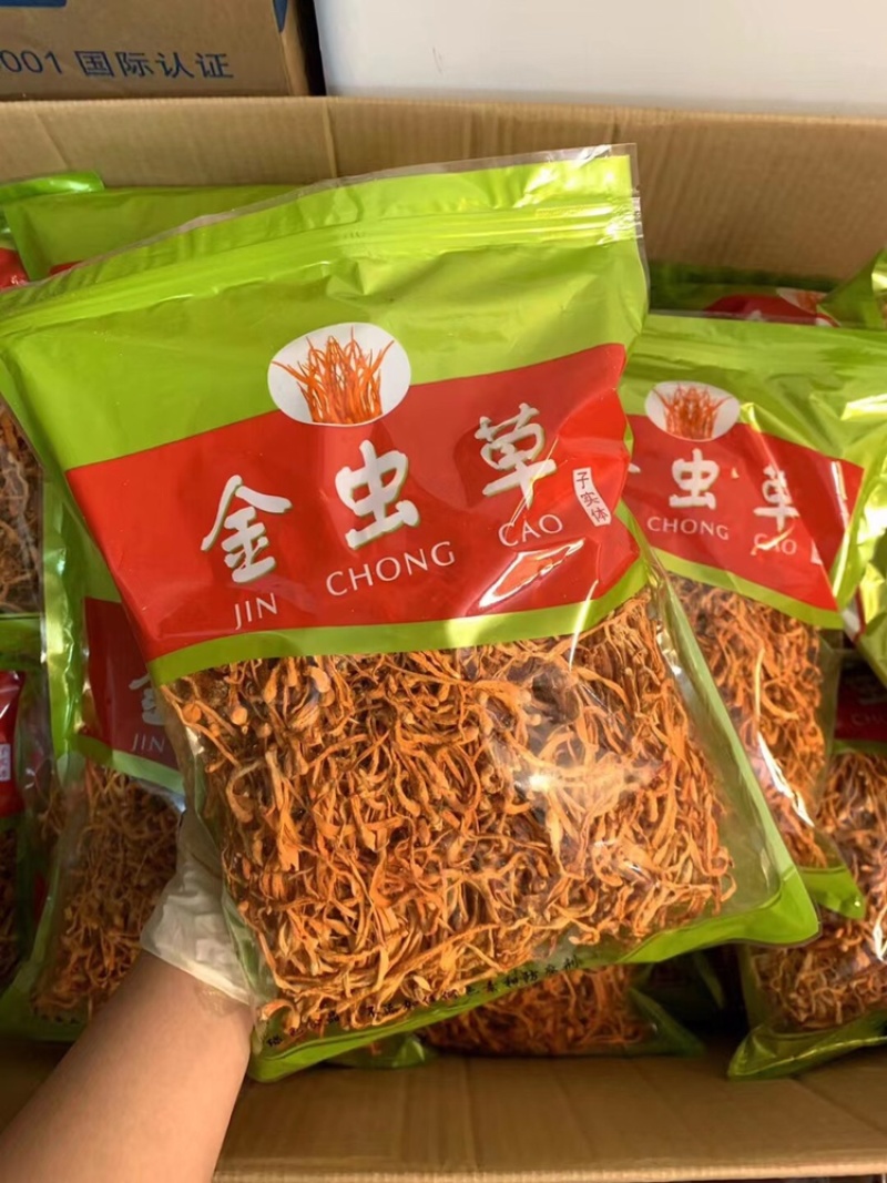 虫草花