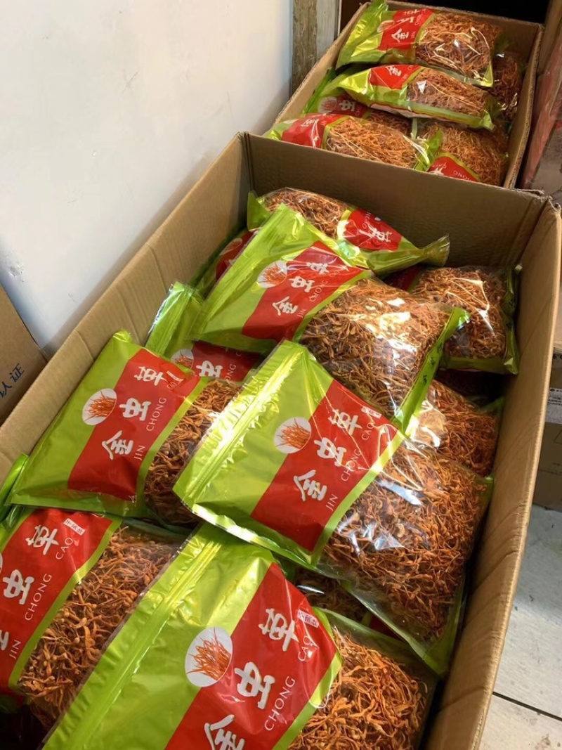虫草花