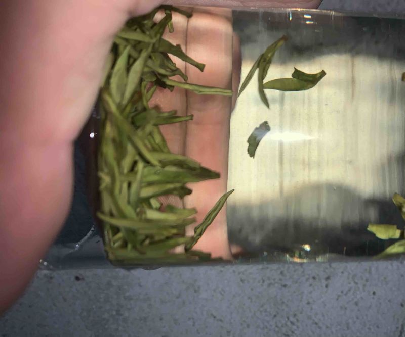 茶叶白茶