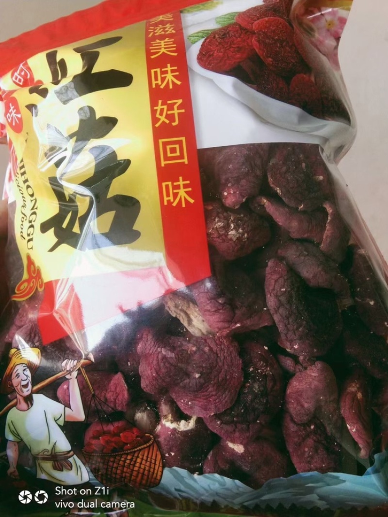 野生红菇
