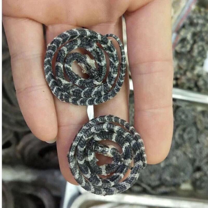 中药材白小花蛇中药材原料金钱小百花蛇干小白蛇正品小百花蛇