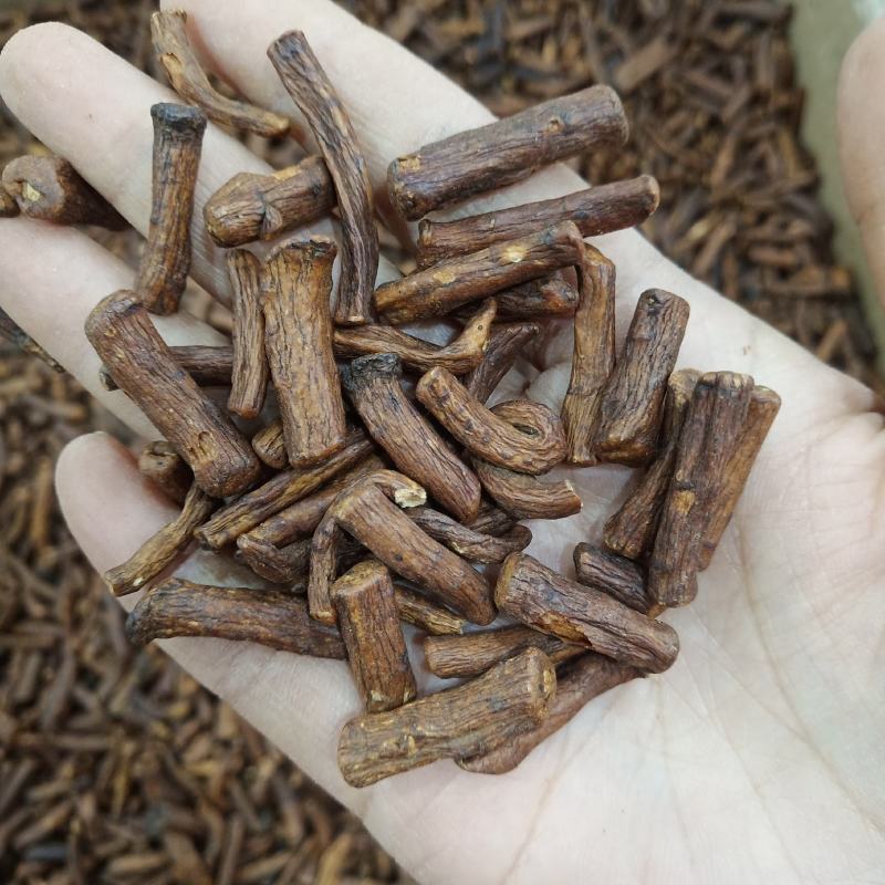批发.蒲公英根500克泡水婆婆根蒲公英根干货