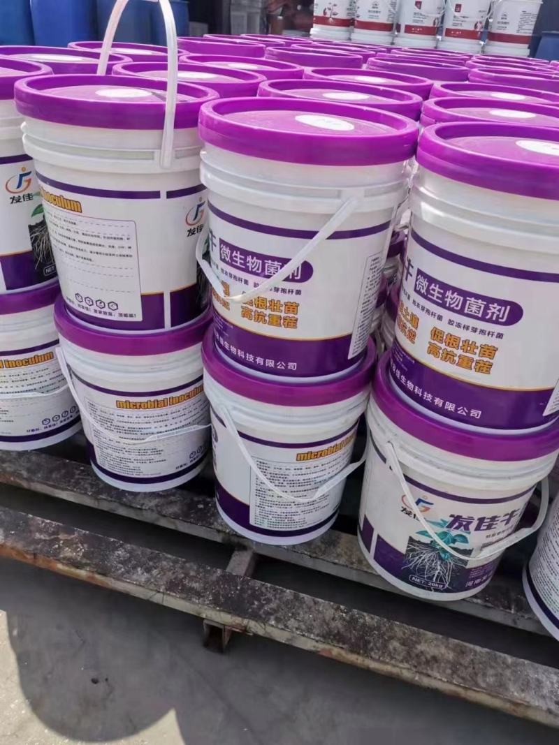 发佳牛微生物菌剂高蛋白高活性促根壮苗抗病抗逆高抗重茬改土