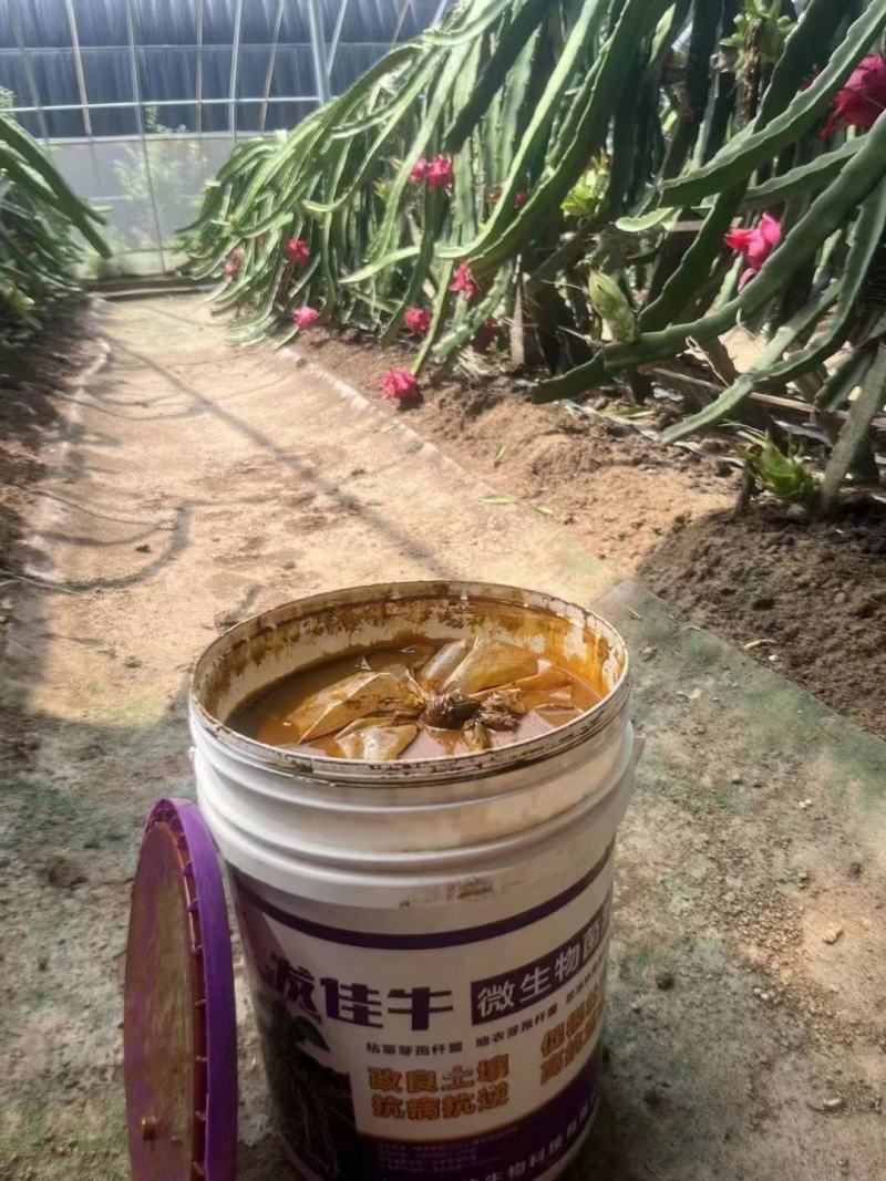 发佳牛微生物菌剂高蛋白高活性促根壮苗抗病抗逆高抗重茬改土