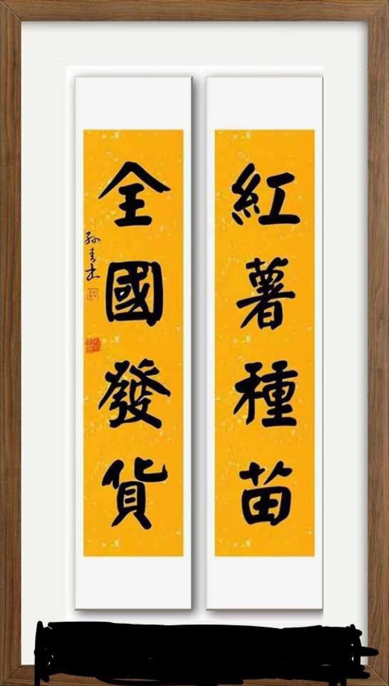 禹州市永信薯业育苗基地