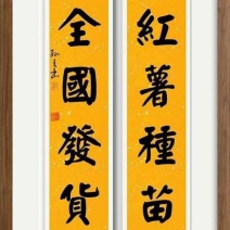 禹州市永信薯业育苗基地